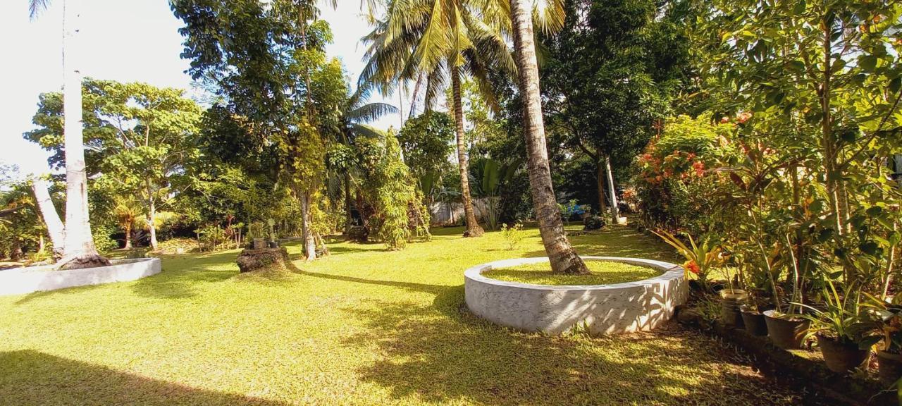 Bat Tree Cottages Agoho Ngoại thất bức ảnh