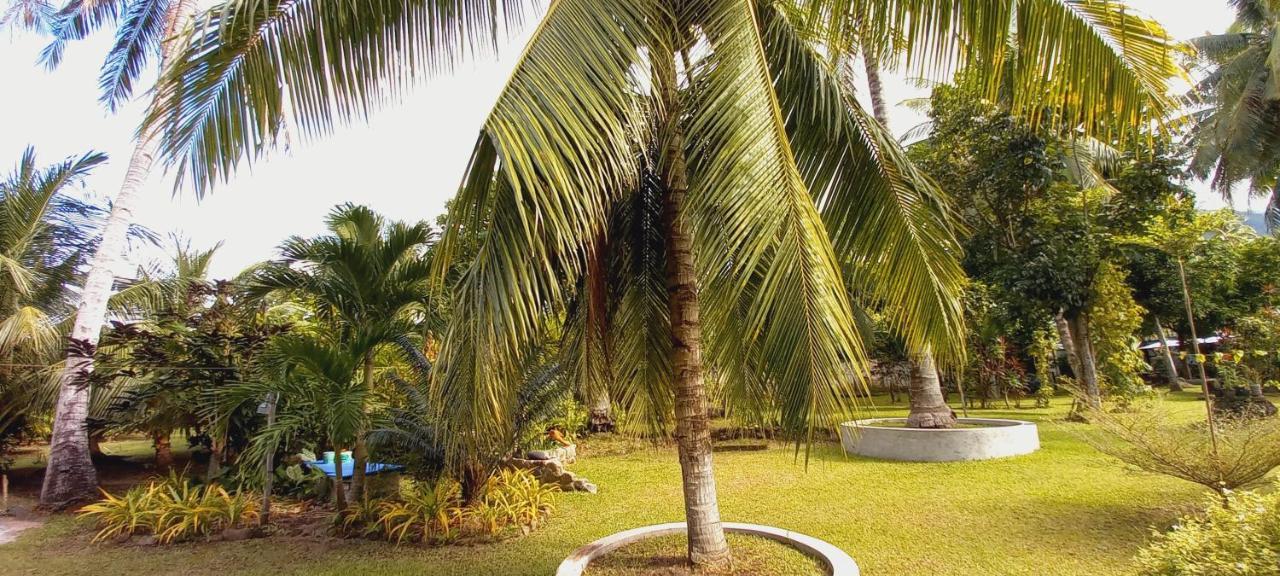 Bat Tree Cottages Agoho Ngoại thất bức ảnh